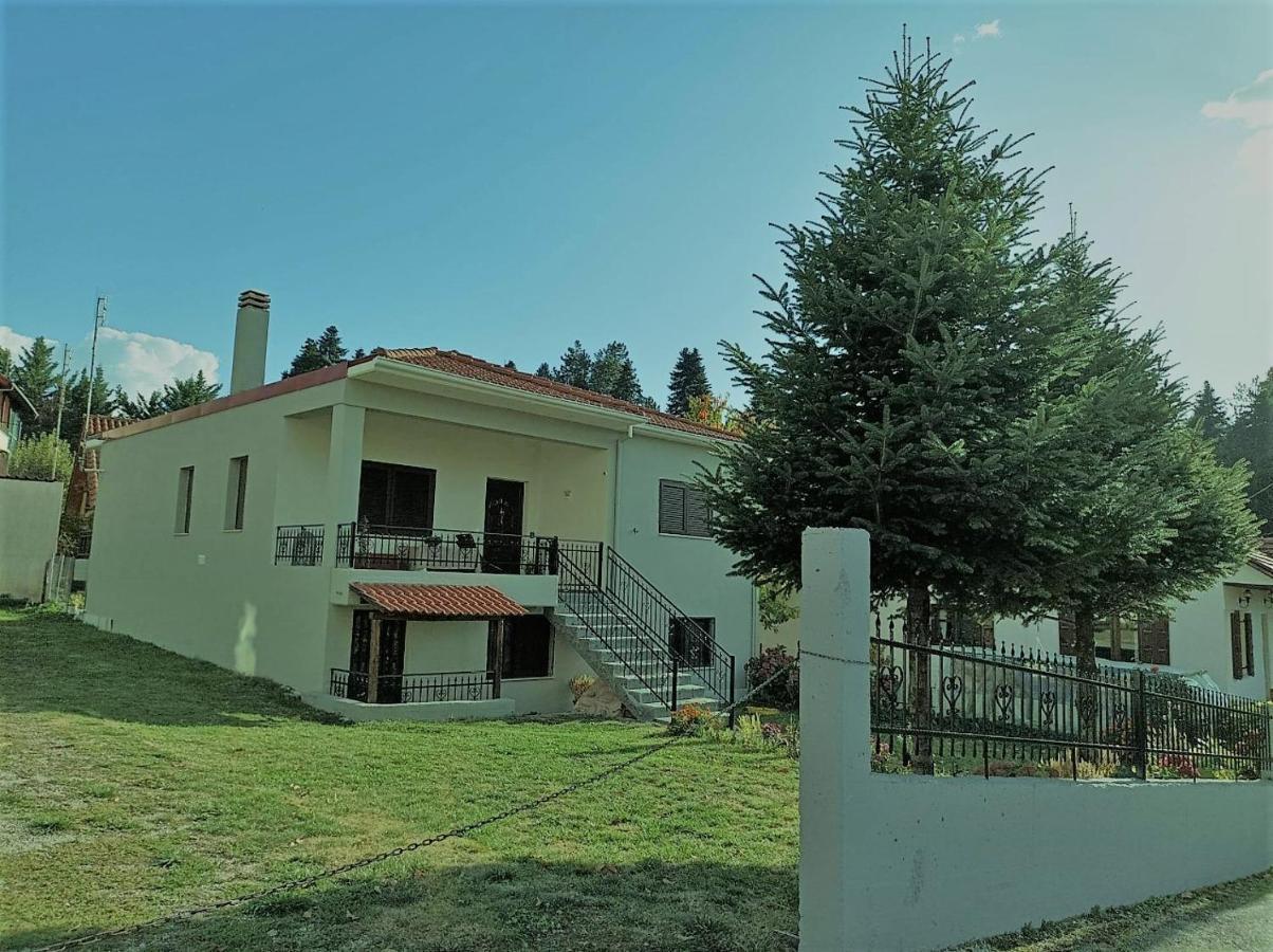 Elati Electra'S Cozy House Villa Exterior photo